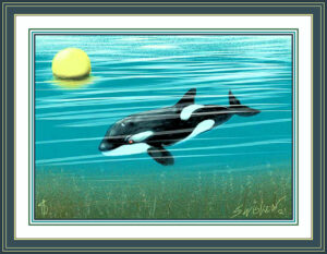 Orca 1
