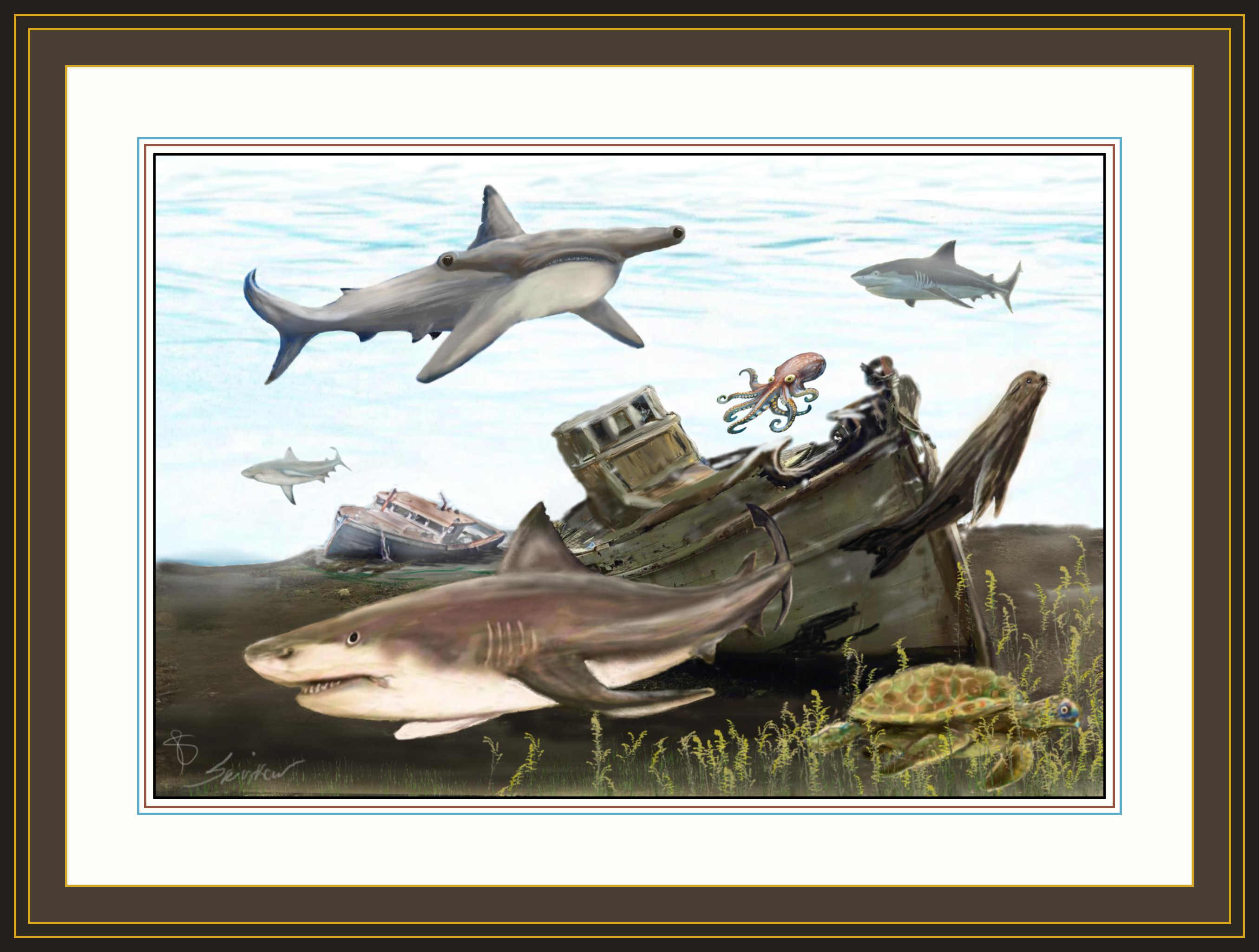 shark time 6