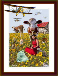 Mister-Moos-flying-cercus.webp